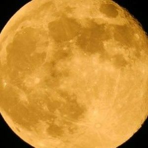 Meet your Posher, Meg